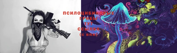 стаф Алексеевка