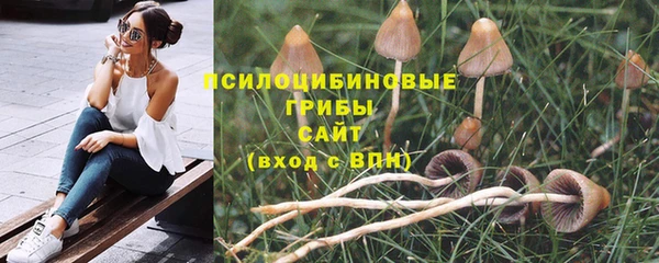 экстази Абаза