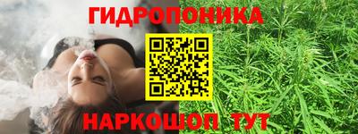 apvp Жуковский