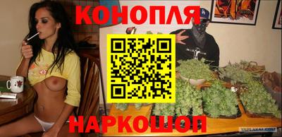 гашик Заводоуковск