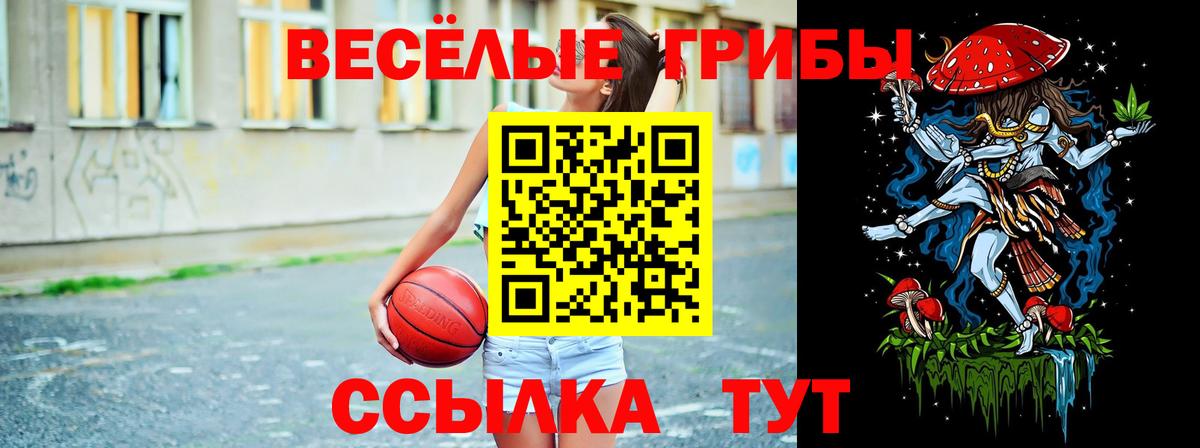 Псилоцибиновые грибы мицелий Урюпинск