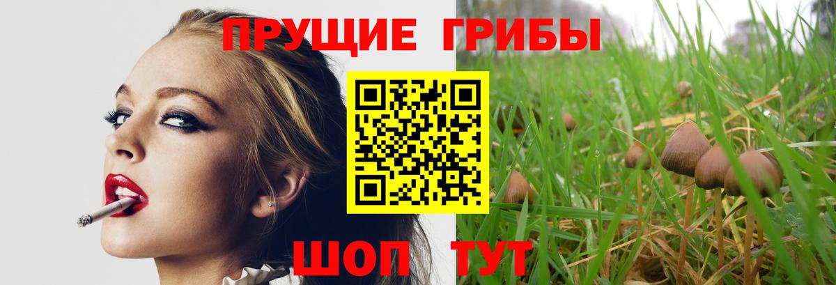 Урюпинск  Галлюциногенные грибы Magic Shrooms  Вход с VPN 